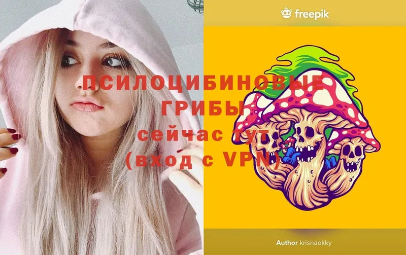 OMG рабочий сайт  Лесосибирск  Галлюциногенные грибы Cubensis 